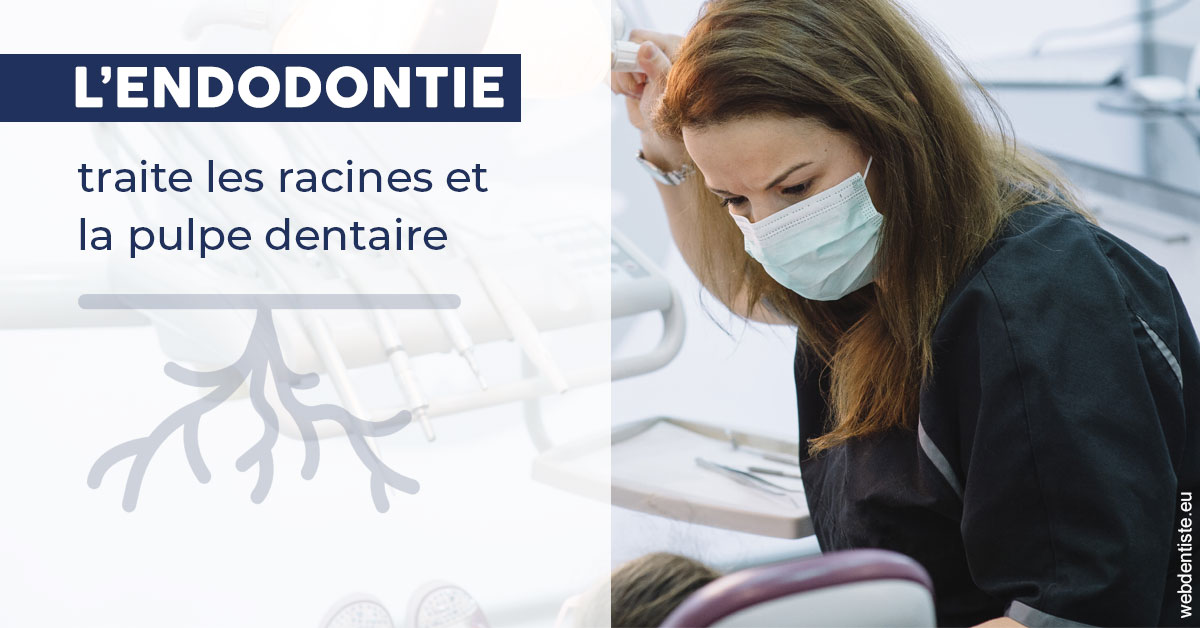 https://dr-aoun-naji.chirurgiens-dentistes.fr/L'endodontie 1