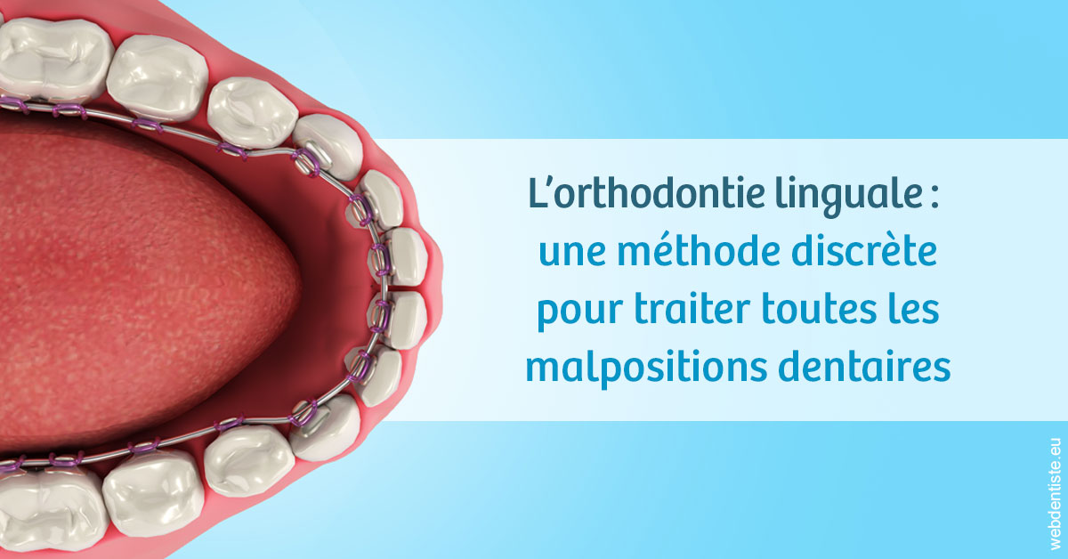 https://dr-aoun-naji.chirurgiens-dentistes.fr/L'orthodontie linguale 1
