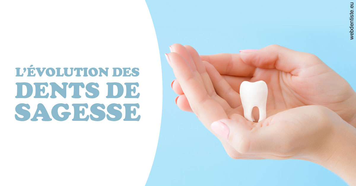 https://dr-aoun-naji.chirurgiens-dentistes.fr/Evolution dents de sagesse 1