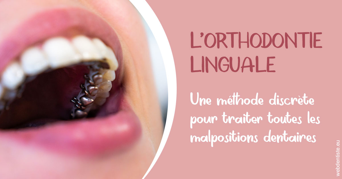 https://dr-aoun-naji.chirurgiens-dentistes.fr/L'orthodontie linguale 2