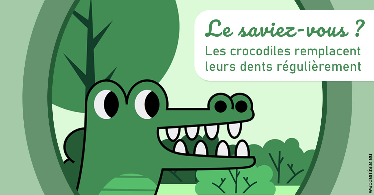 https://dr-aoun-naji.chirurgiens-dentistes.fr/Crocodiles 2